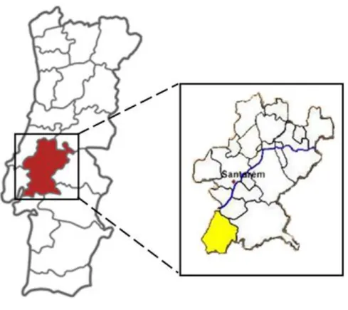 Fig. 1 Mapa do distrito Santarém (esquerda) e do Município de Benavente (direita),  onde se situa a Companhia das Lezírias