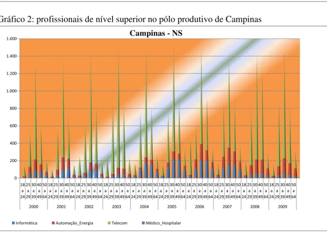 Gráfico 2: profissionais de nível superior no pólo produtivo de Campinas 