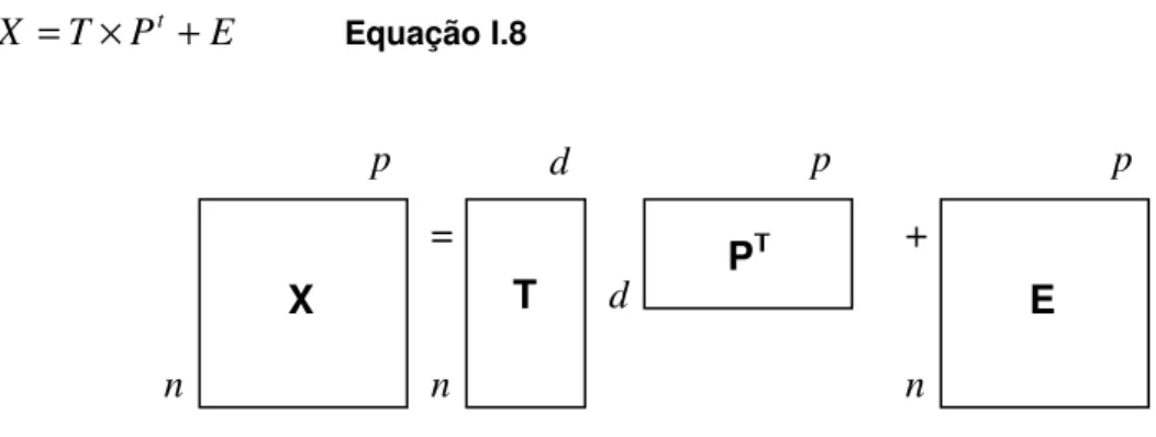 Figura  I.7  –  Representação  gráfica  da  operação  de  decomposição  da  matriz  X através  da  técnica de análise de componentes principais (96) 