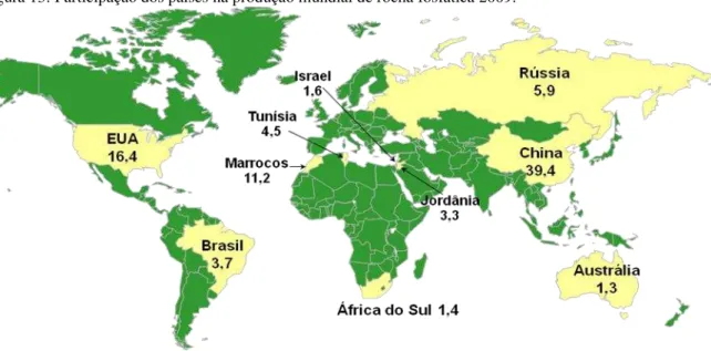 Figura 13: Participação dos países na produção mundial de rocha fosfática 2009. 