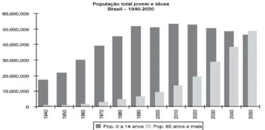 Gráfico 1 - População total jovem e idosa  Fonte: IBGE (2004) 