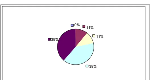 Gráfico 13 – Tempo de Experiência do Professor 