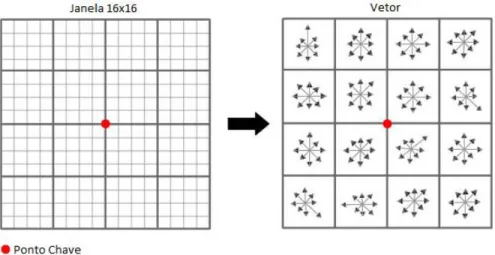 Figura 2.3 - Determinação do vetor descritor [1]. 