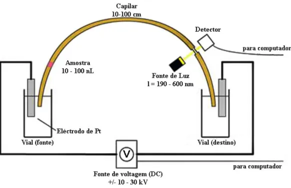 Figura 1.4 – Esquematização da instrumentação de CE. 