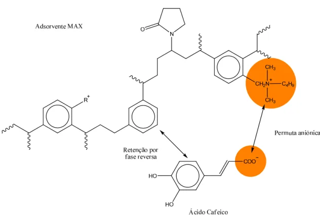 Figura 3.2 – Interacções de um ácido fenólico com o adsorvente seleccionado (adaptado de  [26])