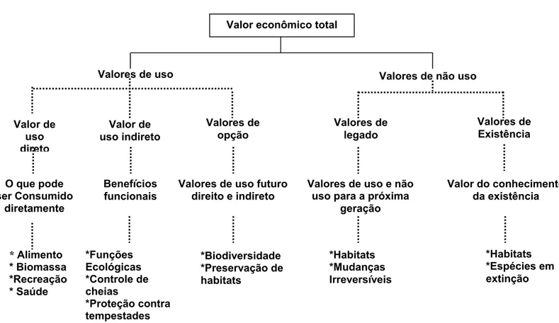 Figura 1: Categorias de valores econômicos atribuídos ao patrimônio ambiental. 