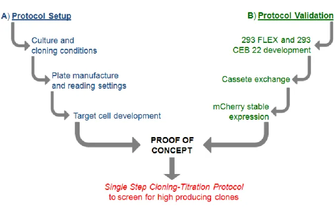 Figure 9 – Workflow of single step cloning-titration protocol implementation.