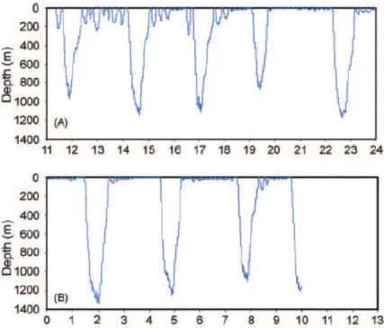 Figure 1.2: Illustration of an individual’s diving profile depth: data from a 22.6h deployment on a tagged Blainville’s beaked whale divided into two days: A (12.6 hours) and B (10 hours)