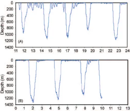 Figure 1.2: Illustration of an individual’s diving profile depth: data from a 22.6h deployment on a tagged Blainville’s beaked whale divided into two days: A (12.6 hours) and B (10 hours)