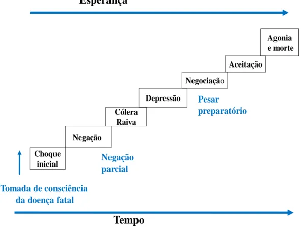 Figura 5. Etapas do processo de morrer. 