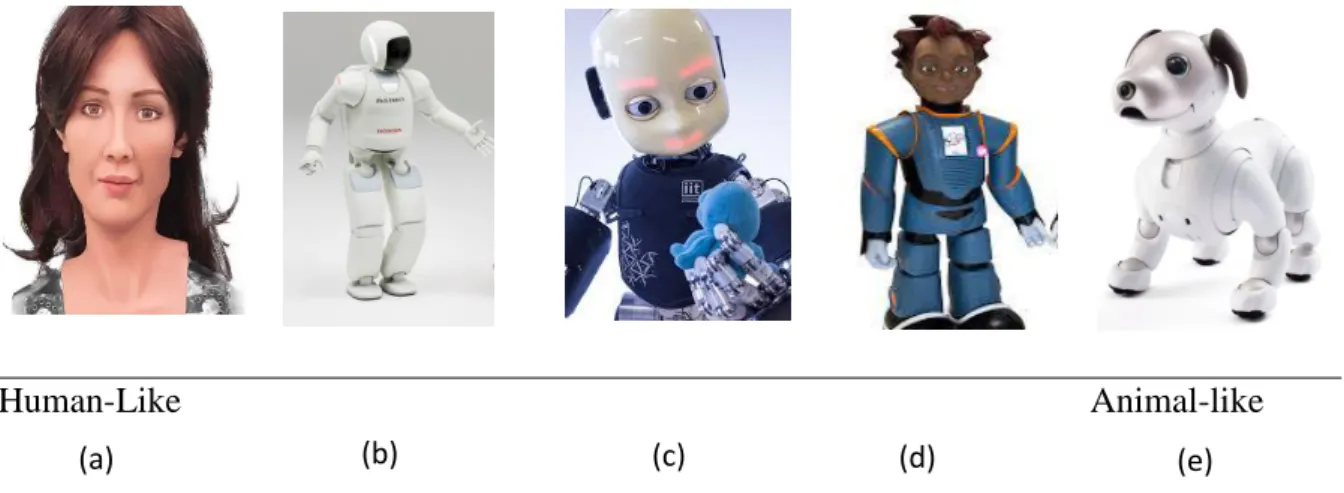 Figure 1: Examples of robots with different embodiments varying in level of resemblance to  humans and animals: (a) Sophia developed by Hanson Robotics,  From “Sophia – Hanson  Robotics” by Hanson Robotics, 2018 (www.hansonrobotics.com/robot/sophia/)