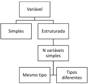 Figura 3 - Tipos de variáveis 