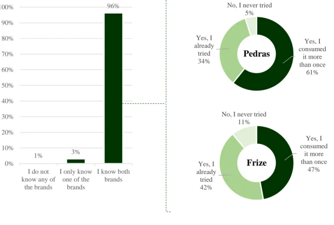 Figure 13: Respondents brand's knowledge and brand experience 