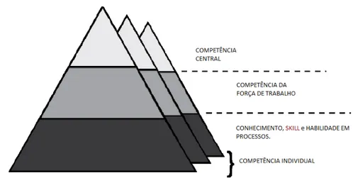 Figura 7  –  Competência individual 