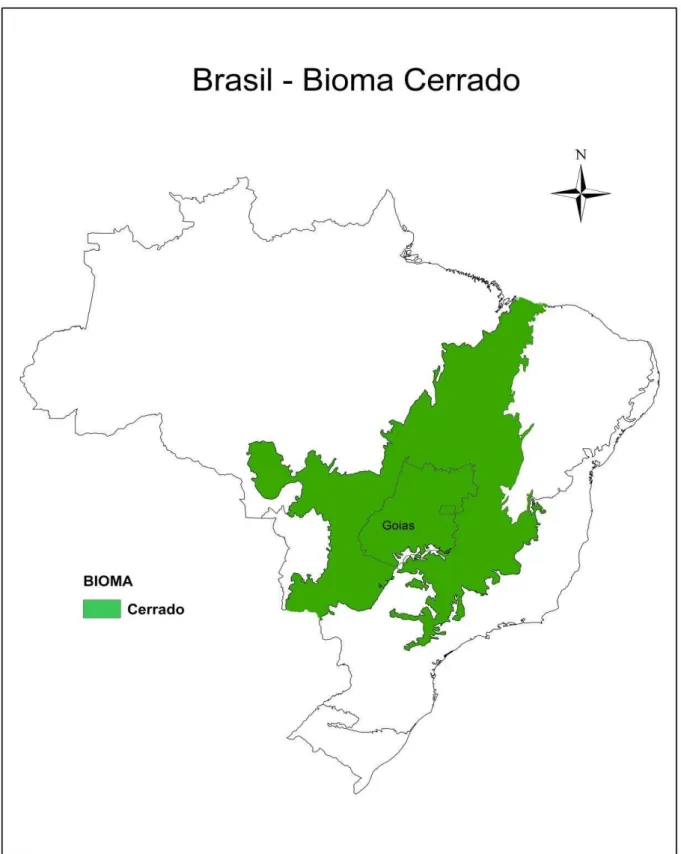 Figura 1: Mapa do Bioma do Cerrado  Fonte: Ministério do Meio Ambiente (2004) 