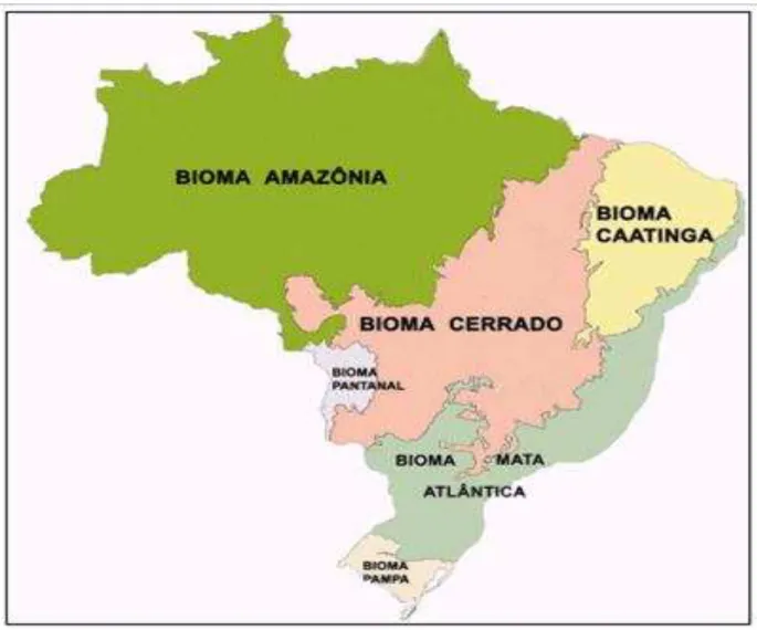 Figura 2: Mapa de Biomas do Brasil  Fonte: Ministério do Meio Ambiente (2004) 