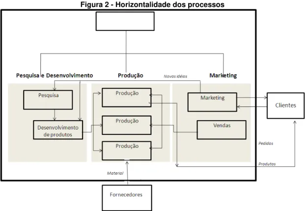 Figura 2 - Horizontalidade dos processos 