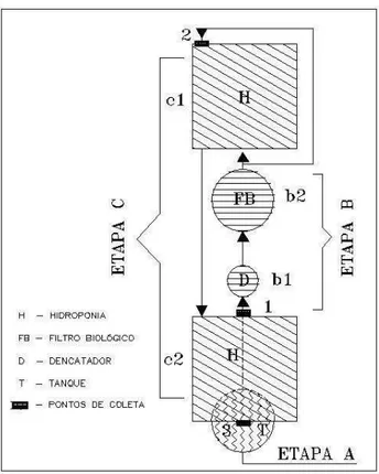 Figura  3  -  Croqui  esquemático  do  sistema  aquapônico  em  duas  dimensões,  composto  por  tanque  de  piscicultura (Etapa A), decantador e filtro biológico (Etapa B) e bancadas hidropônicas (Etapa C)