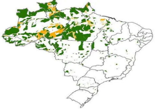 Figura 3 - Área total destinada à concessão Florestal, definida pelo CGFPU. 