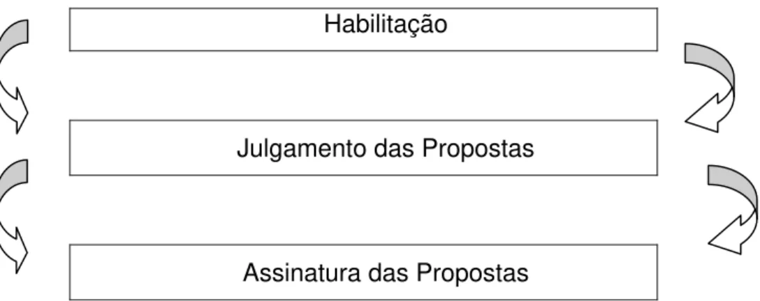 Figura 6 - Fases de Seleção - modificada  Fonte: Serviço Florestal Brasileiro (2007) 