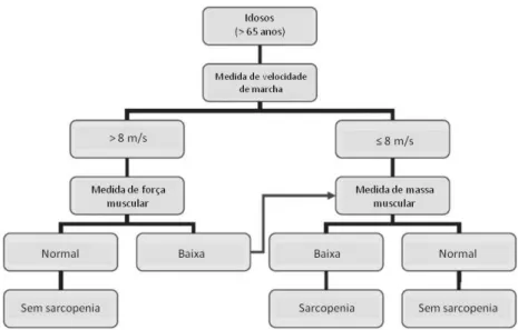 Figura 2.  Algoritmo sugerido pelo Consenso (EWGSOP) para diagnóstico da sarcopenia em  idosos