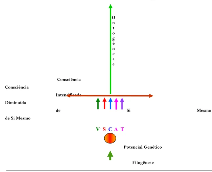 Fig. 3.3: Modelo teórico da Biodança                                                                                       Fonte: TORO, 1991, p.260