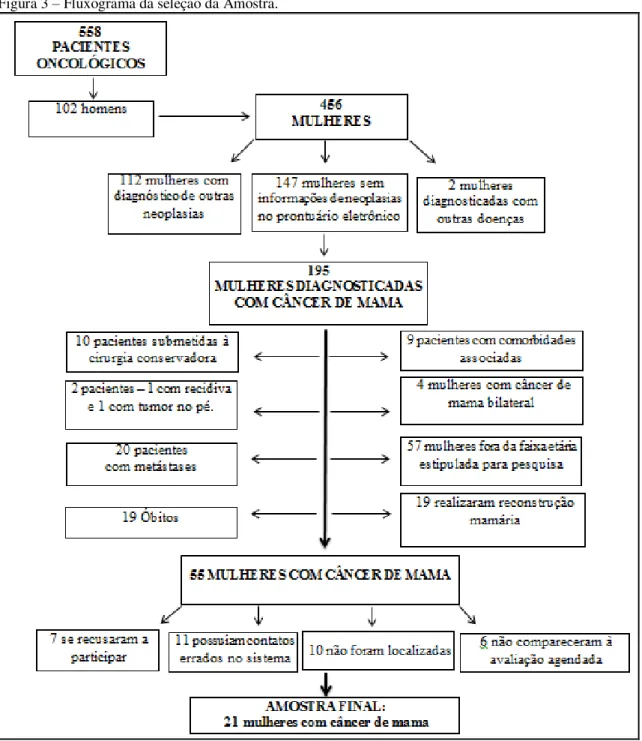 Figura 3  –  Fluxograma da seleção da Amostra. 