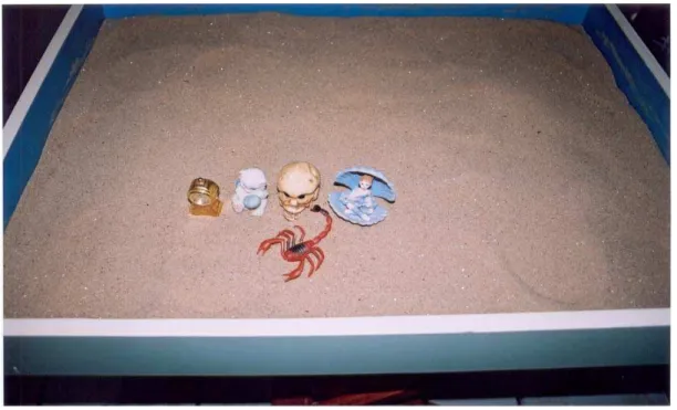Figura 10. Cenário da Caixa de Areia composto pelo sujeito 7, Dona Vida. 