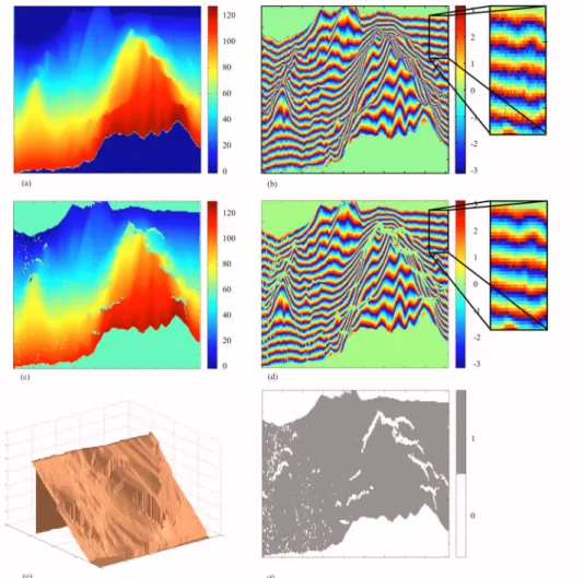 Fig. 8. (Color online) (a) Absolute phase gray-level image generated by a (simulated) InSAR acquisition for a real steep-relief area
