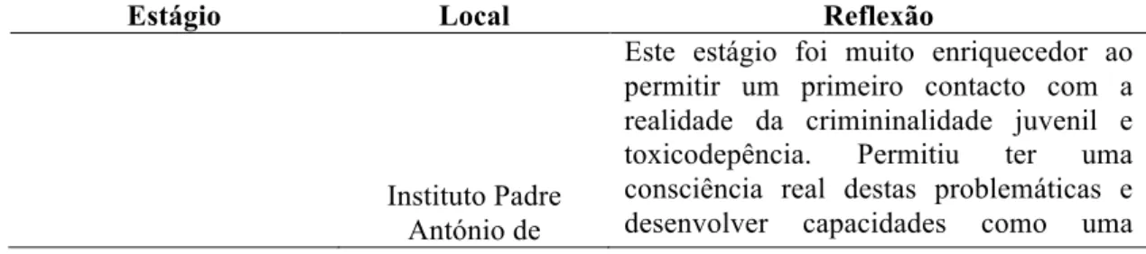 Figura 2: Resumo e reflexão dos estágios realizados 