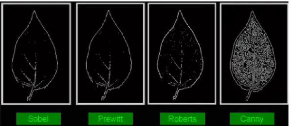 Figure 2.5: Edge detection comparison using different operators, by Husin et al. (2012).