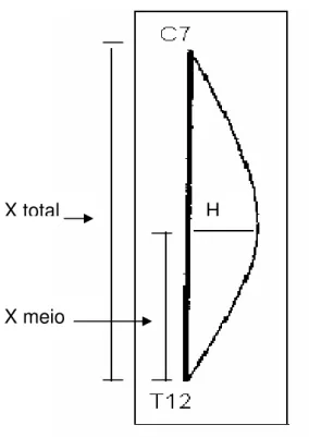 Figura 4. Definição de X total, X meio e H  Fonte: Teixeira &amp; Carvalho, 2007 