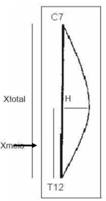 Figura 4. Esquema representativo do método utilizado por Teixeira e Carvalho (2007). 