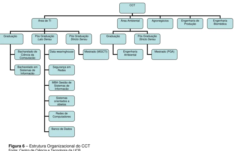 Figura 6 – Estrutura Organizacional do CCT