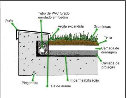 Figura 5  –  Sistema de cobertura verde plana   Fonte: BUSSOLOTI (2008) 