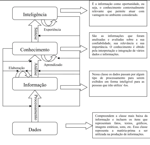 Figura 3 – Níveis hierárquicos da informação, adaptado de MORESI (2000). 