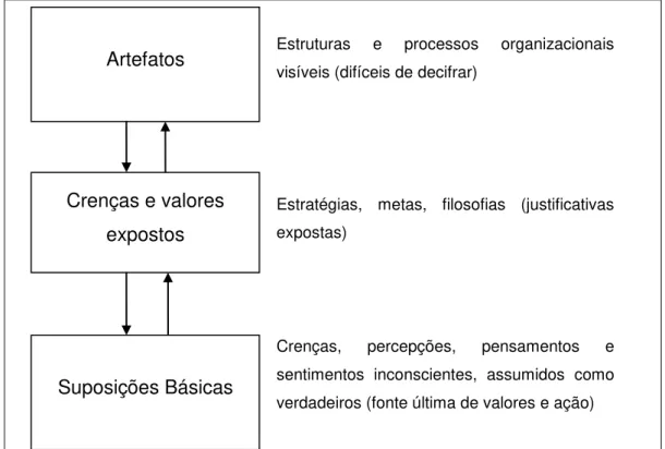 Figura 2. Níveis de cultura 