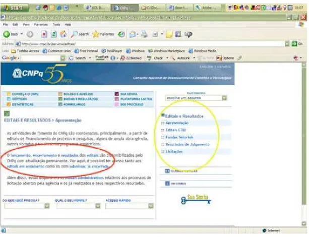Figura 4.2: Apresentação dos editais do CNPq 