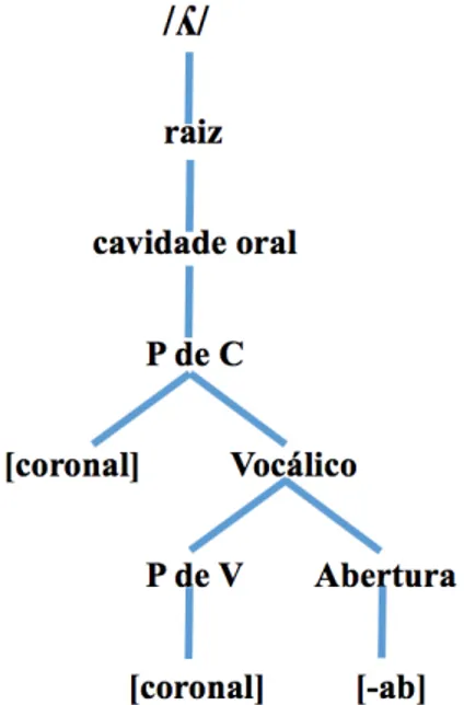 Figura 4 – Representação do /ʎ/ no PB (Hernandorena, 1999) 