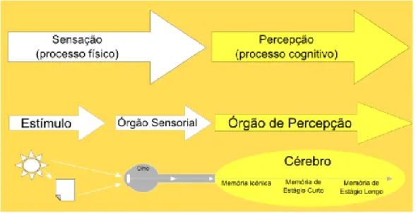 Figura 4 – Diagrama que representa o processo de percepção visual.