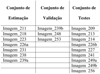 Tabela 3 – Resultado da divisão das imagens em conjuntos 