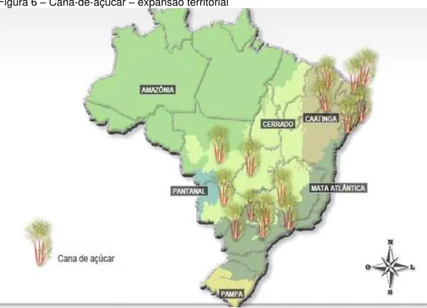 Figura 6  Cana-de-açúcar  expansão territorial  
