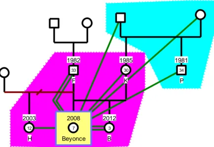 Figura 4 - Genograma Familiar da Beyoncé