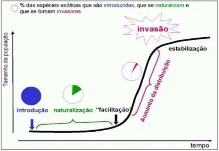 Figura 1 - Principais etapas do processo de invasão. O tamanho da população e  duração de cada etapa variam para as espécies