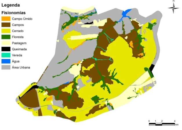 Figura 6 - Mapa de uso e ocupação do solo (incluindo as fitofisionomias de cerrado) da APA Gama e Cabeça de Veado -  DF