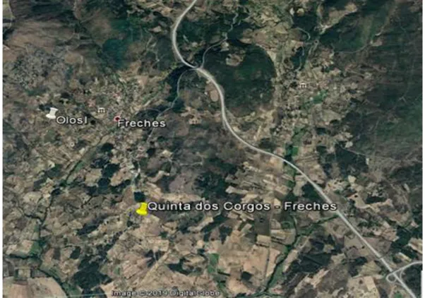 Figura 28 - Imagem satélite Google Earth (15.01.19) – localização da Quinta dos  Corgos