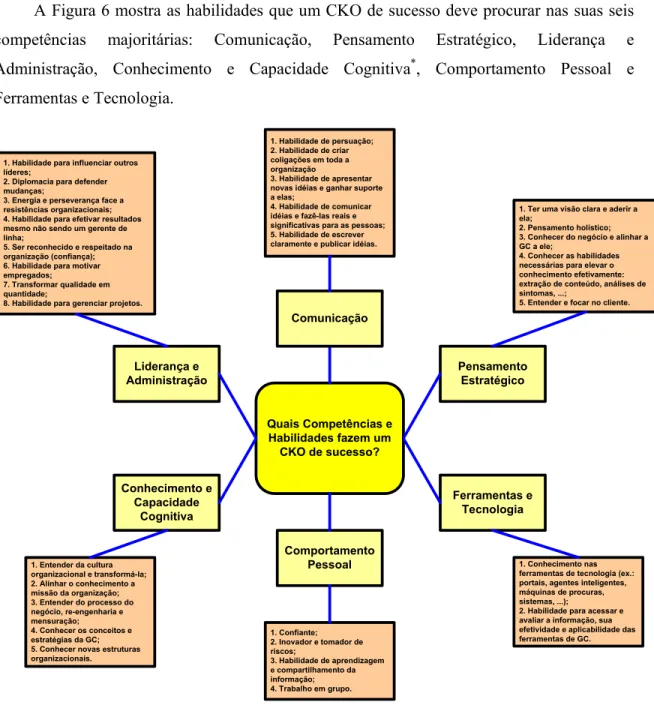 Figura 6 - Competências e habilidades do CKO de sucesso 
