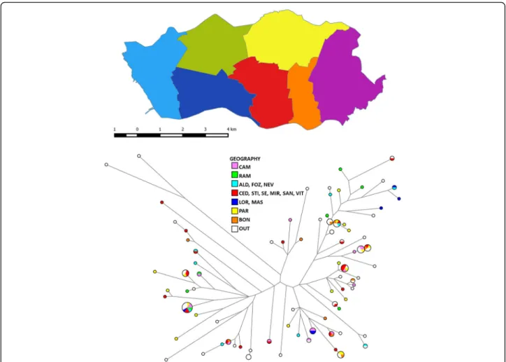 Fig. 3 Geographic distribution of isolates according to the city ’ s localities or parishes