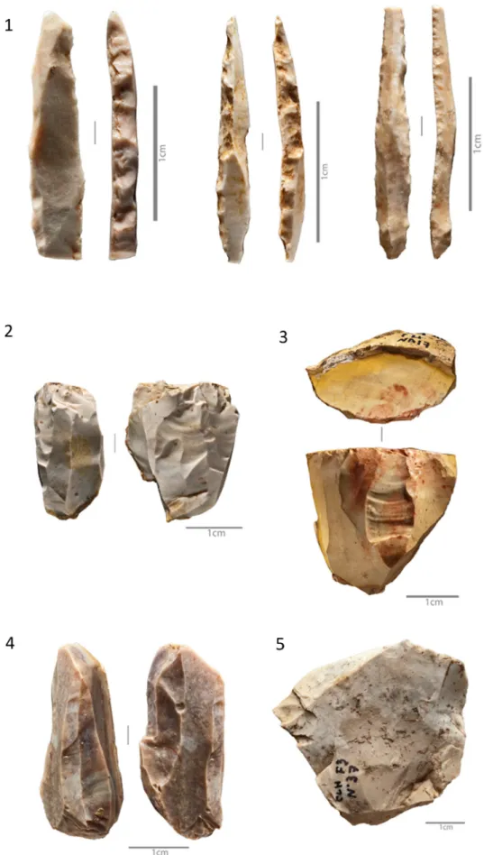 Fig. 5. Lapa dos Coelhos US4 – Upper Magdalenian: 1 - Microgravettes. Retouch technique: hard-hammer percussion