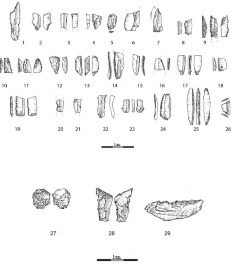 Fig. 12. Monte da Ribeira – Upper Magdalenian? 1 - truncated backed point, 2–24 – backed bladelets fragments and complete exemplars; 25 – microgravette; 26 –  trapeze; 27 - pièce esquillée; 28 and 29 – denticulated tools